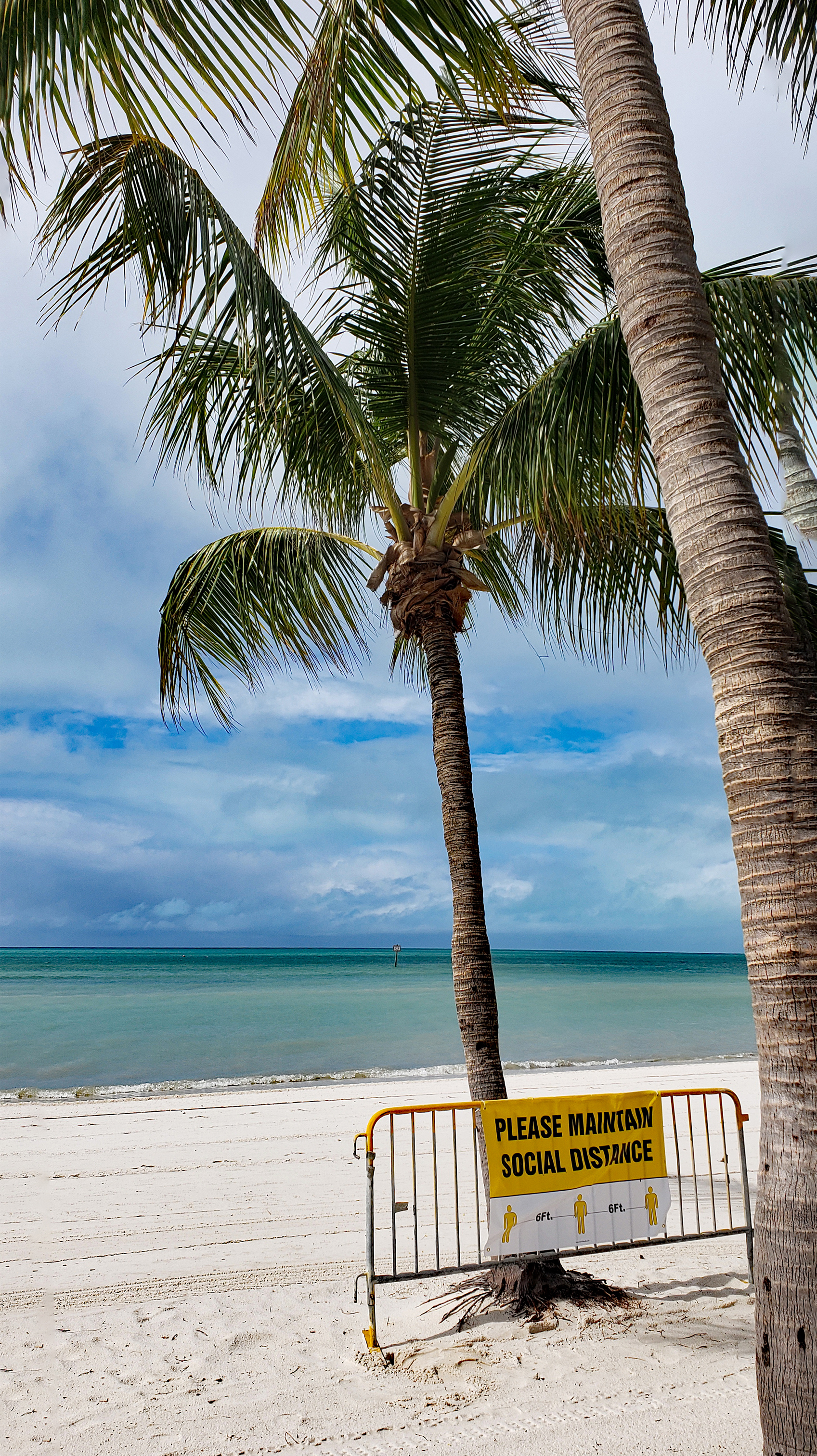 A photograph of an empty beach. In the center of the photograph is a palm tree with a fence in front of it. There is a sign on the fence that reads “Please maintain social distance” above a diagram of 6 feet social distancing. The white sand gives way to the sea green ocean in the center of the background. Above the strip of ocean is a sky full of clouds with blue sky poking through in places.
