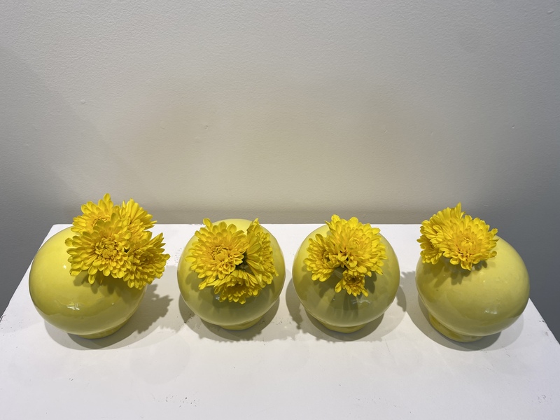 A photograph of four shiny yellow clay pots on a white shelf against a white background. The pots are small and round. Sticking out of their small holes are yellow flowers.
