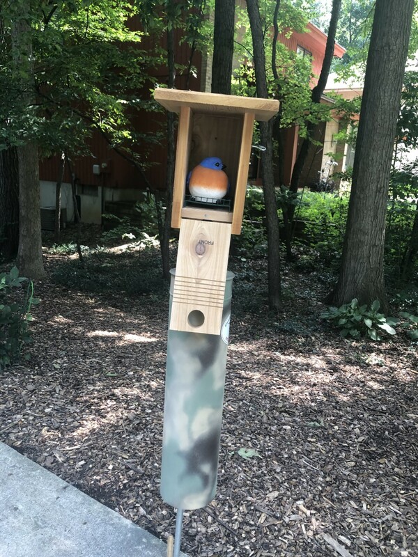 A photograph of a birdhouse mounted on a pole in front of trees. The birdhouse is a vertical rectangle made of wood, with a flat roof that extends over the edges of the house and an entrance hatch with a round hole at the top. The hatch is open to show the inside. Inside the bird house is a stuffed toy bluebird with an orange belly and a blue head.